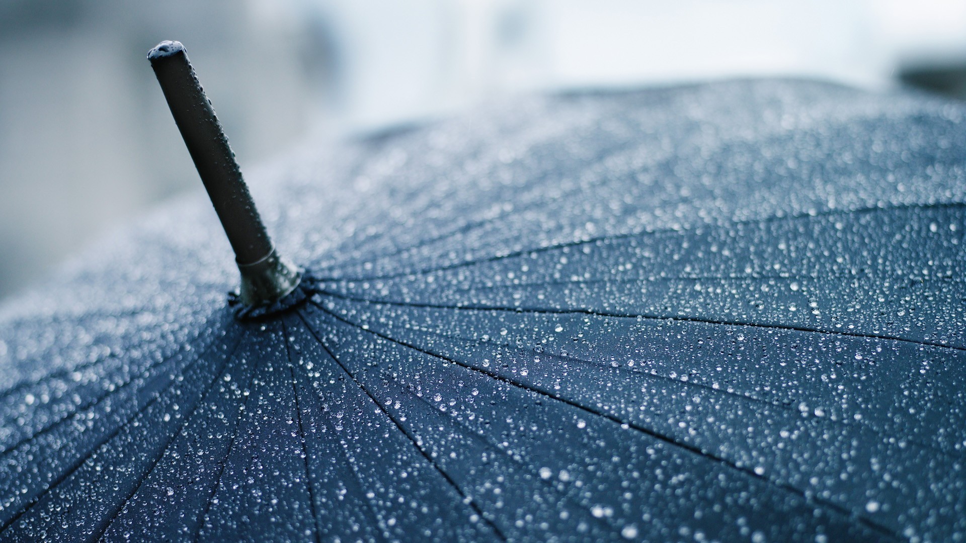 макро, капли, зонт, зонтик, дождь