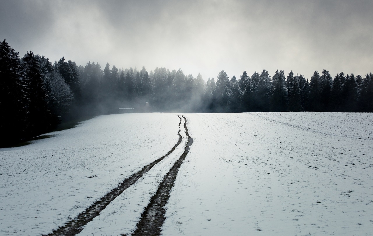 дорога,поле,лес,снег, туман
