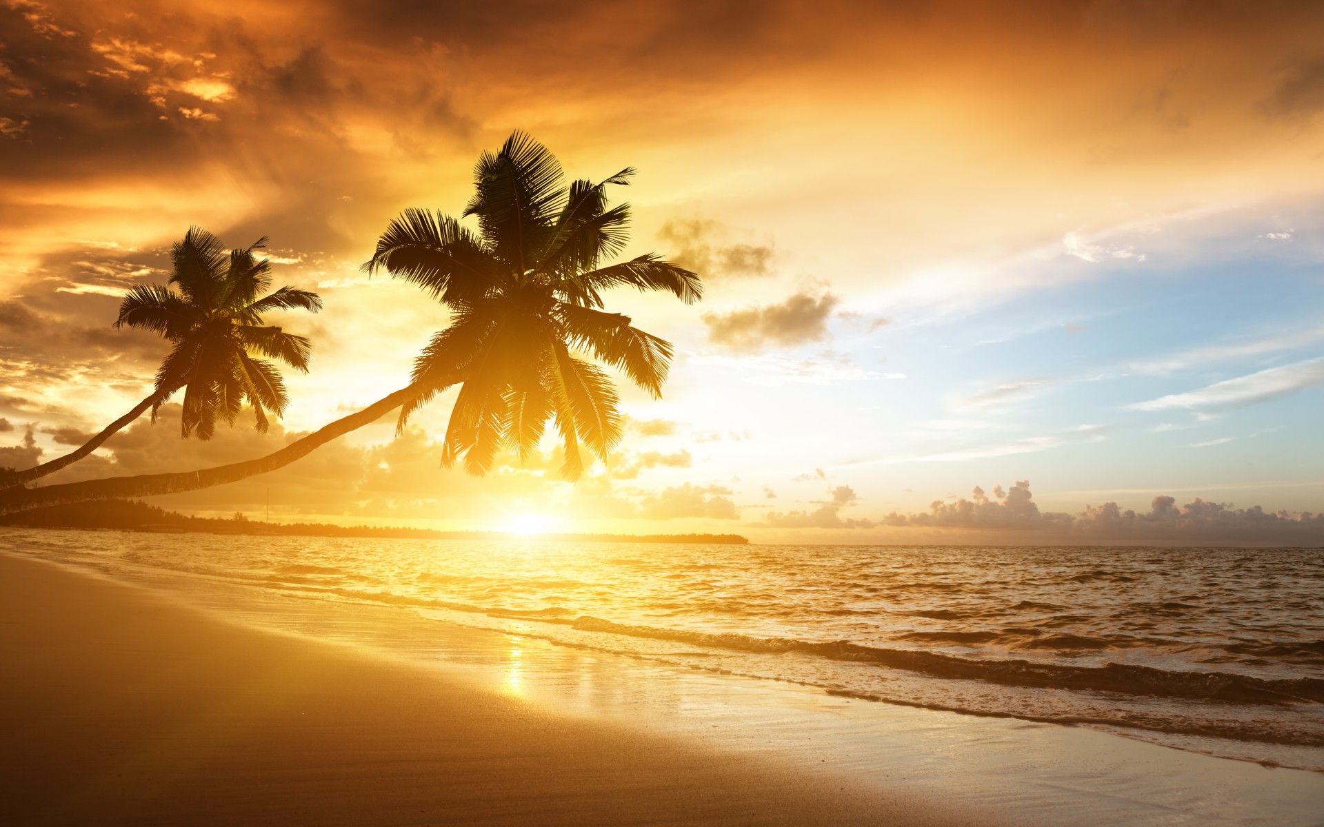 Caribbean, Ocean, sea, sunrise, sunlight, palms