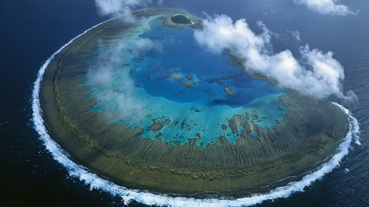 Коралловый, остров, Леди Масгрэйв, Австралия,океан